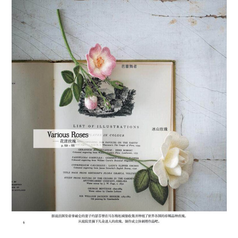 3D Stumpwork Embroidery Book:  - Embroidery Guide Book 评论和价格