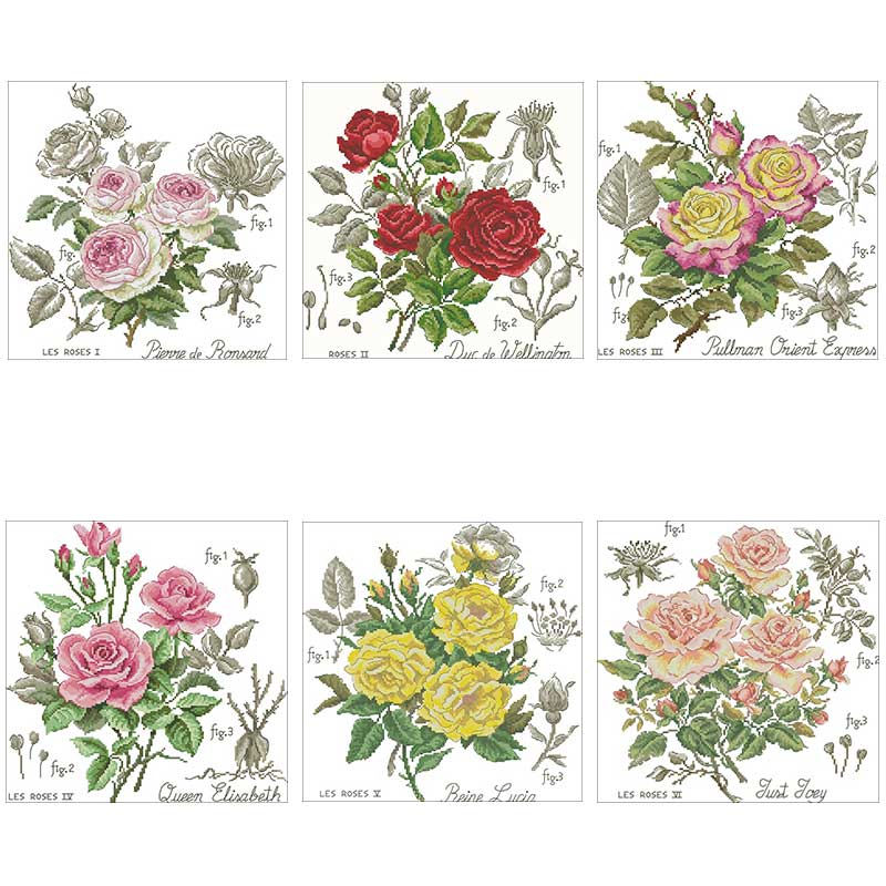 Shadow Rose Patterns Counted 1 - Embroidery Rose Stitch 评论和价格
